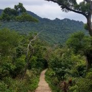 Chemine dans la Montagne de l'Eléphant