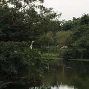 Au bord de l'eau