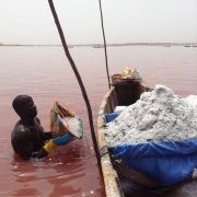 Extraction de sel au Lac rose