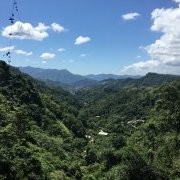 La nature en grand