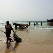 Retour de pêche sur la côte sénégalaise