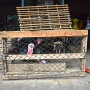 Nous sommes là pour vous !