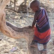 Début d'audace. Enfant masaï grimpant à un arbre