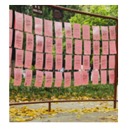 Femme recherche homme