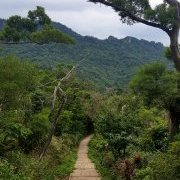 Chemine dans la Montagne de l'Eléphant