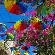 Parapluies ou ombrelles ?