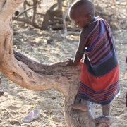 Début d'audace. Enfant masaï grimpant à un arbre