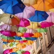 Les parapluies en folie